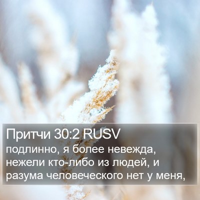 Притчи 30:2 RUSV Bible Verse Image