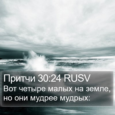 Притчи 30:24 RUSV Bible Verse Image
