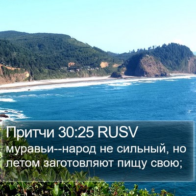 Притчи 30:25 RUSV Bible Verse Image