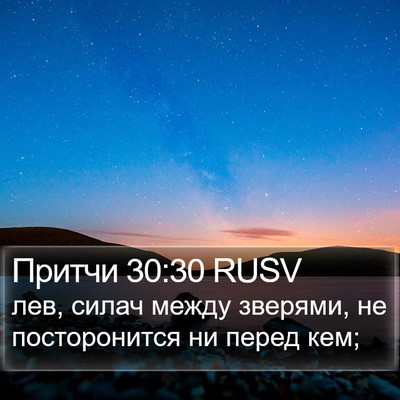 Притчи 30:30 RUSV Bible Verse Image