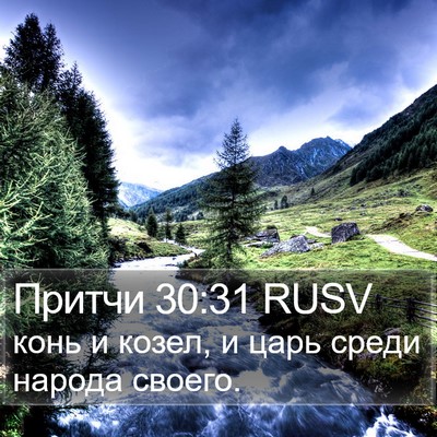 Притчи 30:31 RUSV Bible Verse Image