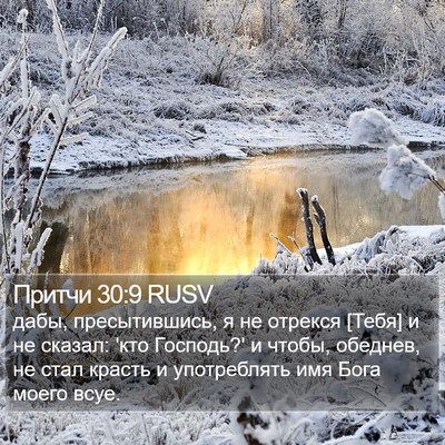 Притчи 30:9 RUSV Bible Verse Image