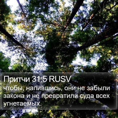 Притчи 31:5 RUSV Bible Verse Image