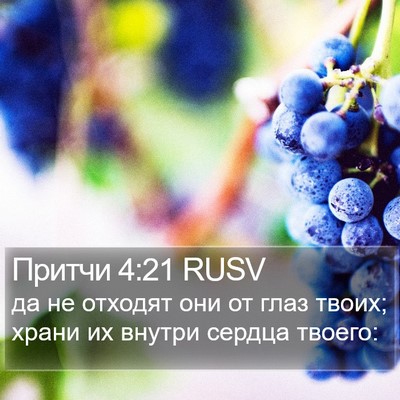 Притчи 4:21 RUSV Bible Verse Image