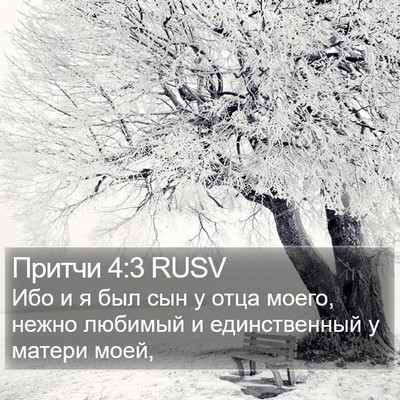 Притчи 4:3 RUSV Bible Verse Image