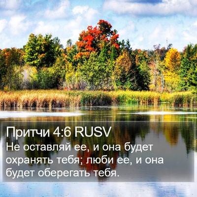 Притчи 4:6 RUSV Bible Verse Image