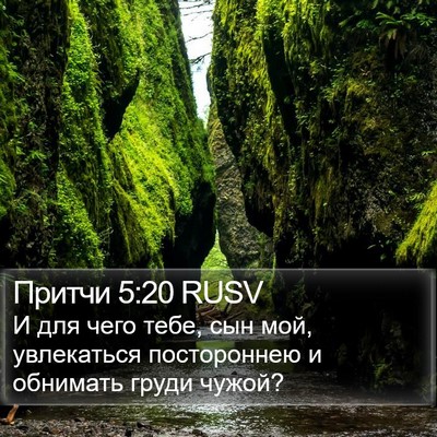 Притчи 5:20 RUSV Bible Verse Image