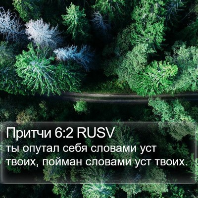 Притчи 6:2 RUSV Bible Verse Image