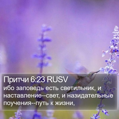 Притчи 6:23 RUSV Bible Verse Image