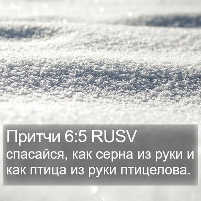 Притчи 6:5 RUSV Bible Verse Image