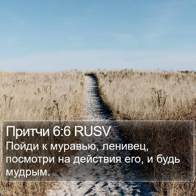 Притчи 6:6 RUSV Bible Verse Image