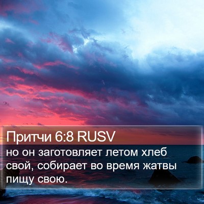Притчи 6:8 RUSV Bible Verse Image