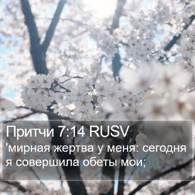 Притчи 7:14 RUSV Bible Verse Image