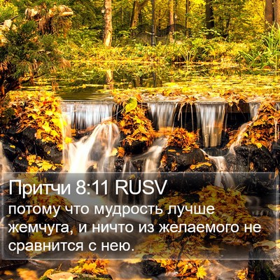 Притчи 8:11 RUSV Bible Verse Image