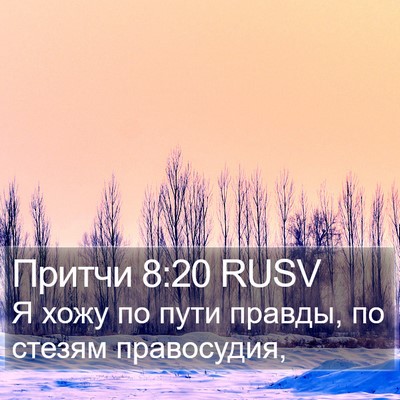 Притчи 8:20 RUSV Bible Verse Image