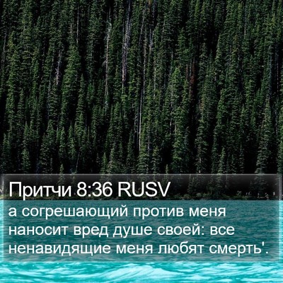 Притчи 8:36 RUSV Bible Verse Image