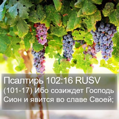 Псалтирь 102:16 RUSV Bible Verse Image