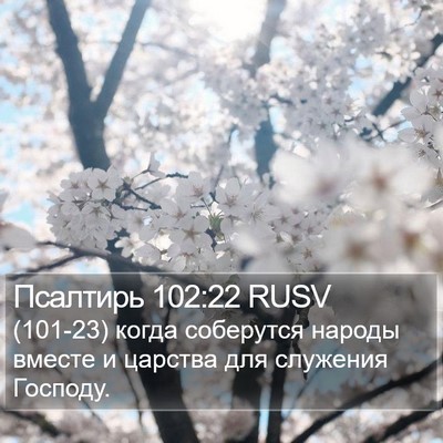 Псалтирь 102:22 RUSV Bible Verse Image