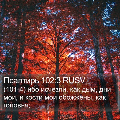 Псалтирь 102:3 RUSV Bible Verse Image