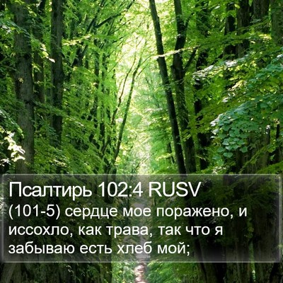 Псалтирь 102:4 RUSV Bible Verse Image