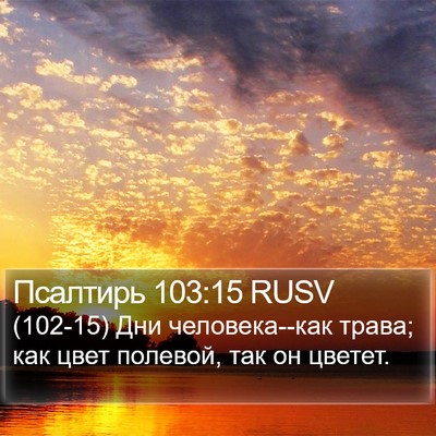 Псалтирь 103:15 RUSV Bible Verse Image