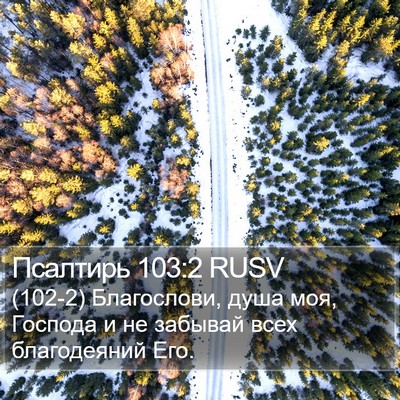 Псалтирь 103:2 RUSV Bible Verse Image