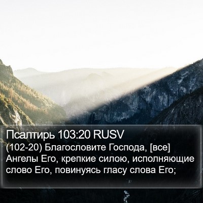 Псалтирь 103:20 RUSV Bible Verse Image