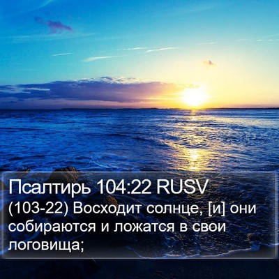 Псалтирь 104:22 RUSV Bible Verse Image