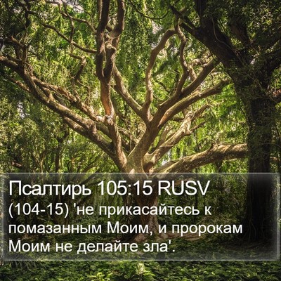 Псалтирь 105:15 RUSV Bible Verse Image