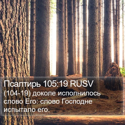 Псалтирь 105:19 RUSV Bible Verse Image