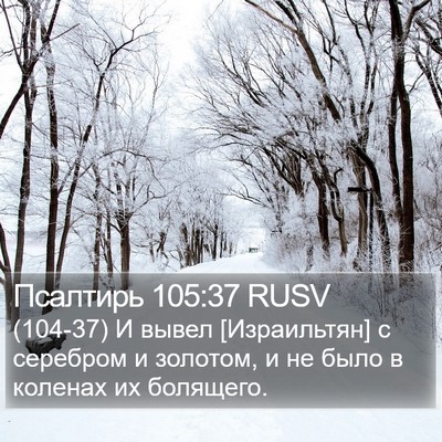 Псалтирь 105:37 RUSV Bible Verse Image