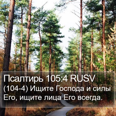 Псалтирь 105:4 RUSV Bible Verse Image