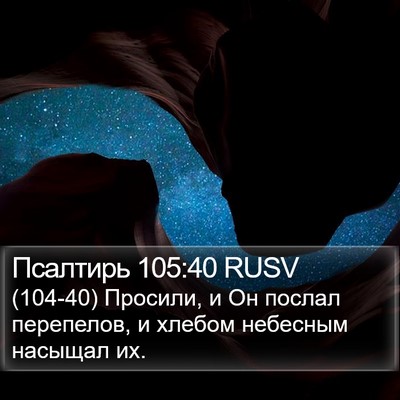 Псалтирь 105:40 RUSV Bible Verse Image