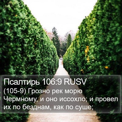 Псалтирь 106:9 RUSV Bible Verse Image