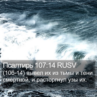 Псалтирь 107:14 RUSV Bible Verse Image