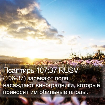 Псалтирь 107:37 RUSV Bible Verse Image