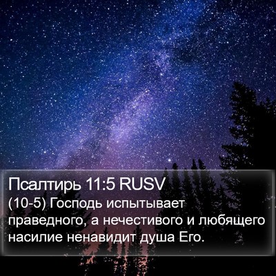 Псалтирь 11:5 RUSV Bible Verse Image
