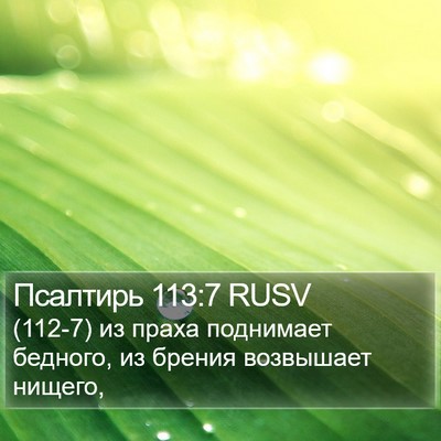 Псалтирь 113:7 RUSV Bible Verse Image