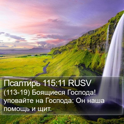 Псалтирь 115:11 RUSV Bible Verse Image