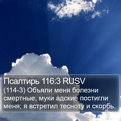 Псалтирь 116:3 RUSV Bible Verse Image