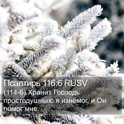 Псалтирь 116:6 RUSV Bible Verse Image