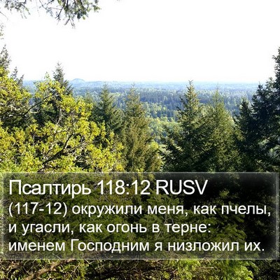Псалтирь 118:12 RUSV Bible Verse Image