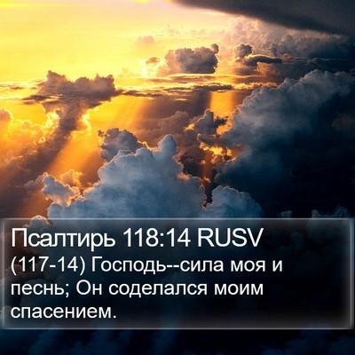 Псалтирь 118:14 RUSV Bible Verse Image