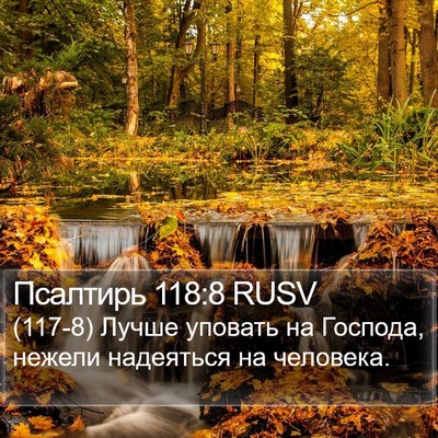Псалтирь 118:8 RUSV Bible Verse Image