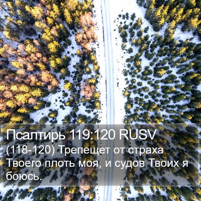Псалтирь 119:120 RUSV Bible Verse Image