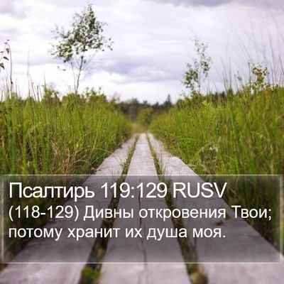 Псалтирь 119:129 RUSV Bible Verse Image
