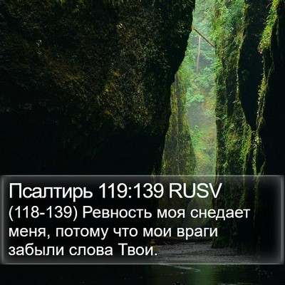 Псалтирь 119:139 RUSV Bible Verse Image