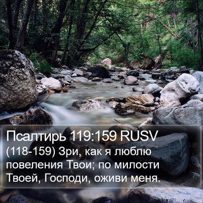 Псалтирь 119:159 RUSV Bible Verse Image