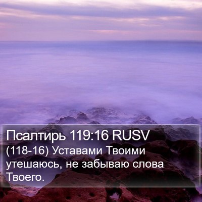 Псалтирь 119:16 RUSV Bible Verse Image