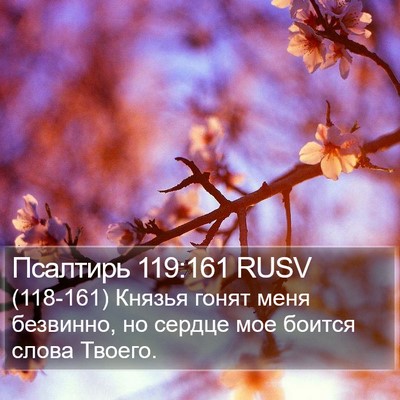 Псалтирь 119:161 RUSV Bible Verse Image